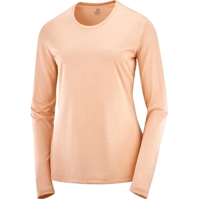 Salomon Agile Long Sleeve Tricko Damske Marhule | SK 9EBWIT